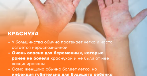 Краснуха (1)